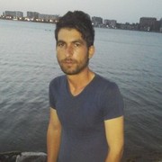 ���������� ����, ���� ������� Elsever, 36 ���, ������������ ��� ������, ����� � ���������, c�������� ���������