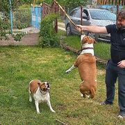 ���������� ������, ���� ������� ������, 40 ���, ������������ ��� ������, ����� � ���������