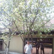 ���������� ������, ���� ������� ����, 100 ���, ������������ ��� ������, ����� � ���������