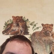  ,   , 32 ,     , c 