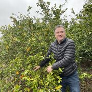 ���������� ������, ���� ������� Ibo, 47 ���, ������������ ��� ������, ����� � ���������