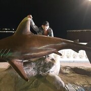 ���������� ���������, ���� ������� ������, 28 ���, ������������ ��� ������, ����� � ���������, c�������� ���������, ���������