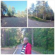 ���������� �����-���������, ���� ������� ����, 77 ���, ������������ ��� ������, ����� � ���������