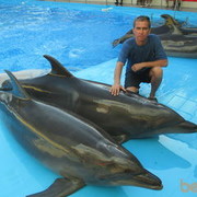 ���������� �����������, ���� ������� ���������, 55 ���, ������������ ��� ������, ����� � ���������, c�������� ���������