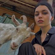 ���������� ������, �����