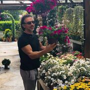 ���������� ��������, ���� ������� Robert, 65 ���, ������������ ��� ������, ����� � ���������, c�������� ���������