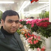 ���������� ������, ���� ������� ����, 39 ���, ������������ ��� c�������� ���������