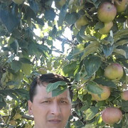  ,   Alu, 51 ,   ,   , c 