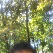 ���������� ������ ���, ���� ������� �������, 31 ���, ������������ ��� ������, ����� � ���������, c�������� ���������