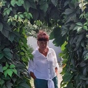  ,   , 66 ,   ,   