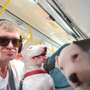 ���������� �����, ���� ������� �������, 38 ���, ������������ ��� c�������� ���������