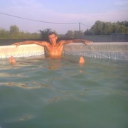 ���������� �������, ���� ������� ������, 38 ���, ������������ ��� ������, ����� � ���������, c�������� ���������