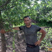  ,  samvel, 43