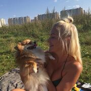 ���������� ������, ���� ������� �����, 43 ����, ������������ ��� ������, ����� � ���������, c�������� ���������