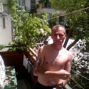  ,   , 44 ,   ,   , c 