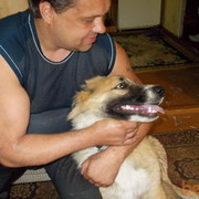  ,   , 50 ,   ,   , c , 
