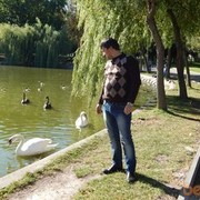  ,   , 41 ,   
