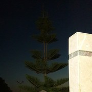  ,   , 48 ,   ,   , c , 