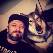  Regensburg,   , 43 ,   ,   