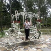 ���������� ���������, ���� ������� �������, 52 ����, ������������ ��� ����� � ���������, c�������� ���������, ���������