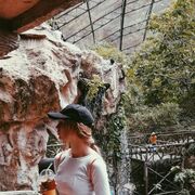 ���������� ������, ���� ������� ������, 20 ���, ������������ ��� ������, ����� � ���������