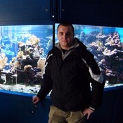  ,  Vasul, 42