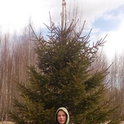 ���������� ������������, ���� ������� ����, 28 ���, ������������ ��� ������, ����� � ���������, c�������� ���������