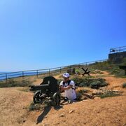 ���������� ������ ��������, ���� ������� Alexey, 43 ����, ������������ ��� ������, ����� � ���������, c�������� ���������