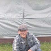  -,   , 43 ,   ,   