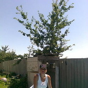 ���������� ������-��-����, ���� ������� ����, 48 ���, ������������ ��� ������, ����� � ���������, c�������� ���������