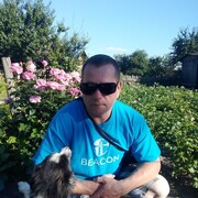 ���������� �����, ���� ������� ���������, 44 ����, ������������ ��� ������, ����� � ���������