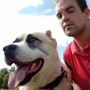 ���������� ������, ���� ������� �����, 36 ���, ������������ ��� ������, ����� � ���������