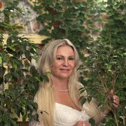 ���������� ����, ������� ���������, 44