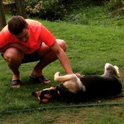 ���������� ������, ���� ������� �������, 34 ����, ������������ ��� ������