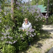  ,   , 59 ,   ,   