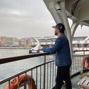 ,   Royal, 31 ,   ,   