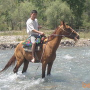 ���������� �������, ���� ������� �����, 47 ���, ������������ ��� ������, ����� � ���������, c�������� ���������