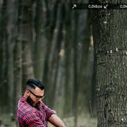  ,  , 43
