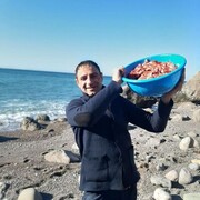  ,   Gamlet, 35 ,   ,   