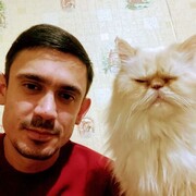 ���������� �������, ���� ������� ���������, 36 ���, ������������ ��� ������, ����� � ���������, c�������� ���������, ���������