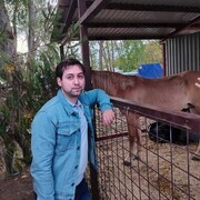 ���������� ������, ���� ����� ����, 21 ���, ������������ ��� ������, ����� � ���������, c�������� ���������, ���������