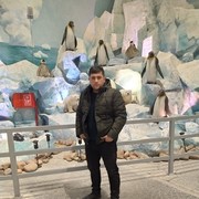 ���������� �������, ���� ������� Erkin, 31 ���, ������������ ��� ������, ����� � ���������, c�������� ���������