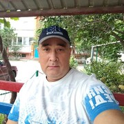 ���������� ����, ���� ������� �������, 43 ����, ������������ ��� ����� � ���������, c�������� ���������