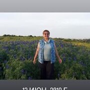  Kaplan,  , 74