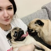 ���������� �����-���������, ���� ������� Maria, 28 ���, ������������ ��� ������, ����� � ���������