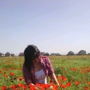 ���������� ������, ���� ������� ����, 33 ����, ������������ ��� ������, ����� � ���������, c�������� ���������, ���������