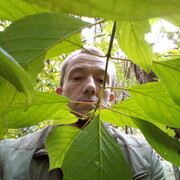 � � �������