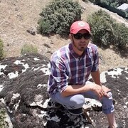 ���������� ������, ���� ������� ������, 38 ���, ������������ ��� ������, ����� � ���������