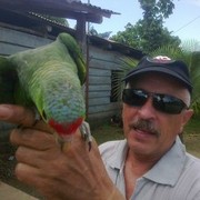  ,   Valera, 64 ,   ,   , c , 