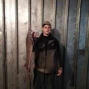 ���������� ���������, ���� ������� ������, 32 ����, ������������ ��� ������, ����� � ���������, c�������� ���������